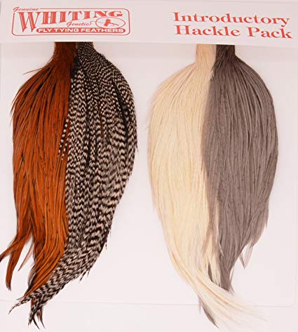 WHITING Combo Intro Hackle Pack CAPE